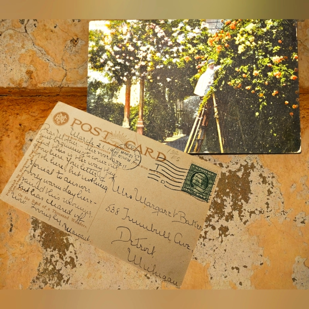 Archival 1911 Pasadena Roses Postcard